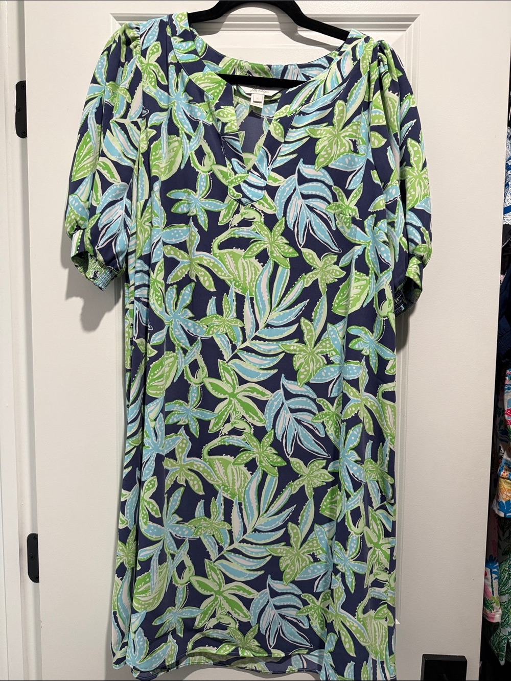 Lilly Pulitzer Ovilene dress
